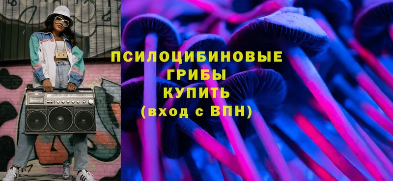 как найти наркотики  Оса  Галлюциногенные грибы Psilocybine cubensis 