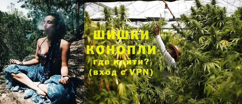 цены   Оса  Конопля OG Kush 